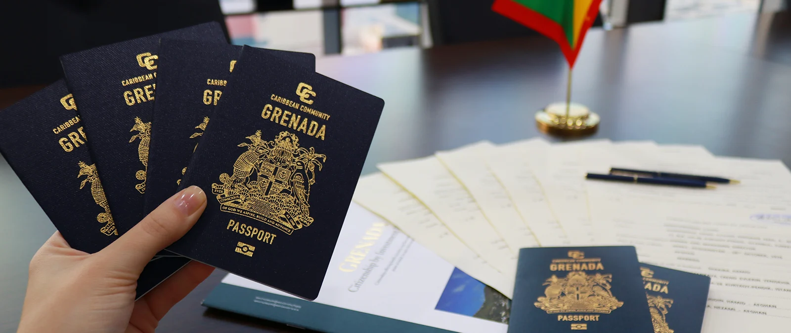 Choosing a Citizenship-by-Investment Programme - Global Citizenship Services